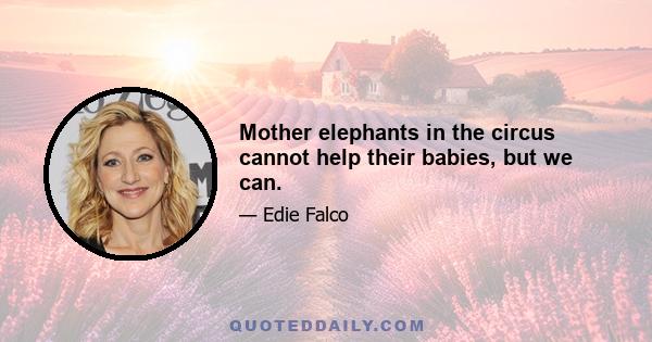 Mother elephants in the circus cannot help their babies, but we can.