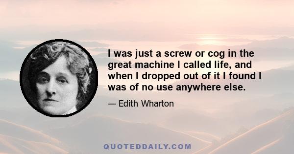 I was just a screw or cog in the great machine I called life, and when I dropped out of it I found I was of no use anywhere else.