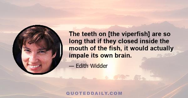 The teeth on [the viperfish] are so long that if they closed inside the mouth of the fish, it would actually impale its own brain.