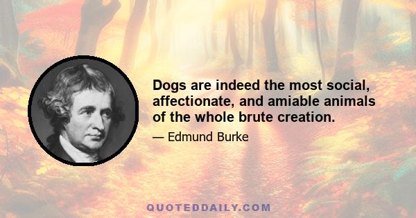 Dogs are indeed the most social, affectionate, and amiable animals of the whole brute creation.