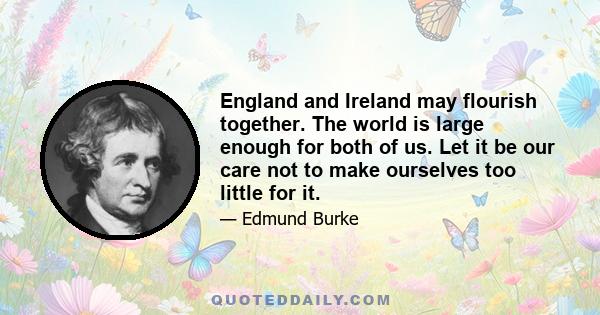 England and Ireland may flourish together. The world is large enough for both of us. Let it be our care not to make ourselves too little for it.