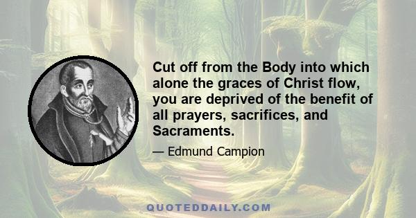 Cut off from the Body into which alone the graces of Christ flow, you are deprived of the benefit of all prayers, sacrifices, and Sacraments.