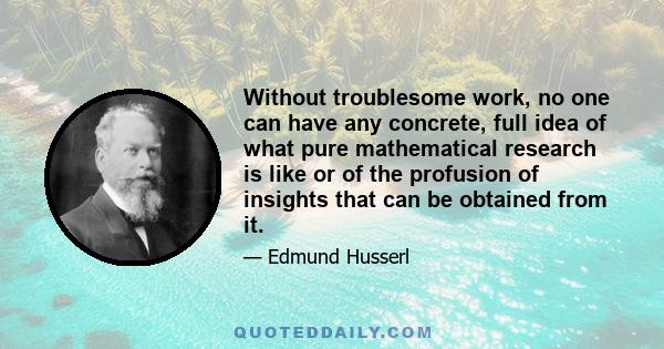 Without troublesome work, no one can have any concrete, full idea of what pure mathematical research is like or of the profusion of insights that can be obtained from it.