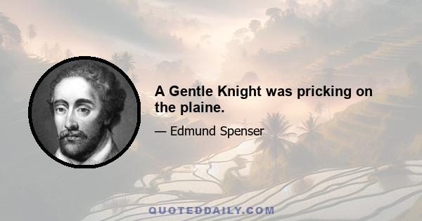 A Gentle Knight was pricking on the plaine.