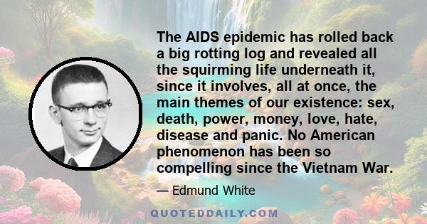 The AIDS epidemic has rolled back a big rotting log and revealed all the squirming life underneath it, since it involves, all at once, the main themes of our existence: sex, death, power, money, love, hate, disease and