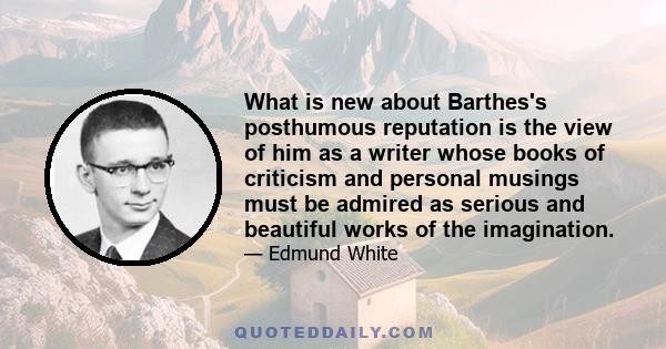 What is new about Barthes's posthumous reputation is the view of him as a writer whose books of criticism and personal musings must be admired as serious and beautiful works of the imagination.