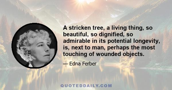 A stricken tree, a living thing, so beautiful, so dignified, so admirable in its potential longevity, is, next to man, perhaps the most touching of wounded objects.