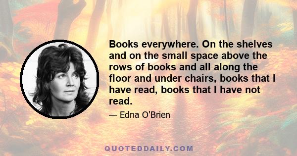 Books everywhere. On the shelves and on the small space above the rows of books and all along the floor and under chairs, books that I have read, books that I have not read.