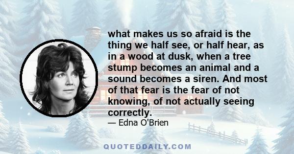 what makes us so afraid is the thing we half see, or half hear, as in a wood at dusk, when a tree stump becomes an animal and a sound becomes a siren. And most of that fear is the fear of not knowing, of not actually