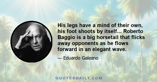 His legs have a mind of their own, his foot shoots by itself... Roberto Baggio is a big horsetail that flicks away opponents as he flows forward in an elegant wave.