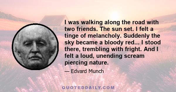 I was walking along the road with two friends. The sun set. I felt a tinge of melancholy. Suddenly the sky became a bloody red... I stood there, trembling with fright. And I felt a loud, unending scream piercing nature.