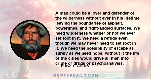 A man could be a lover and defender of the wilderness without ever in his lifetime leaving the boundaries of asphalt, powerlines, and right-angled surfaces. We need wilderness whether or not we ever set foot in it. We