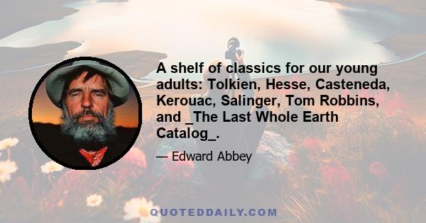 A shelf of classics for our young adults: Tolkien, Hesse, Casteneda, Kerouac, Salinger, Tom Robbins, and _The Last Whole Earth Catalog_.