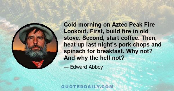 Cold morning on Aztec Peak Fire Lookout. First, build fire in old stove. Second, start coffee. Then, heat up last night's pork chops and spinach for breakfast. Why not? And why the hell not?