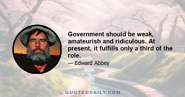 Government should be weak, amateurish and ridiculous. At present, it fulfills only a third of the role.