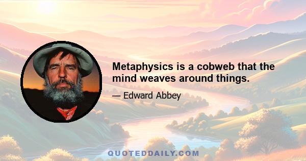 Metaphysics is a cobweb that the mind weaves around things.