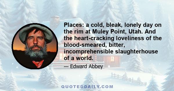 Places: a cold, bleak, lonely day on the rim at Muley Point, Utah. And the heart-cracking loveliness of the blood-smeared, bitter, incomprehensible slaughterhouse of a world.