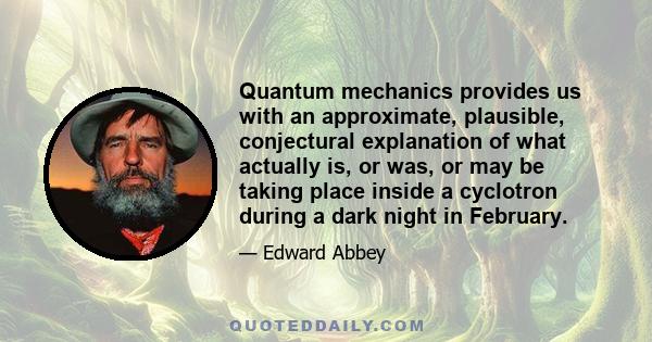 Quantum mechanics provides us with an approximate, plausible, conjectural explanation of what actually is, or was, or may be taking place inside a cyclotron during a dark night in February.