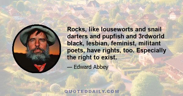 Rocks, like louseworts and snail darters and pupfish and 3rdworld black, lesbian, feminist, militant poets, have rights, too. Especially the right to exist.