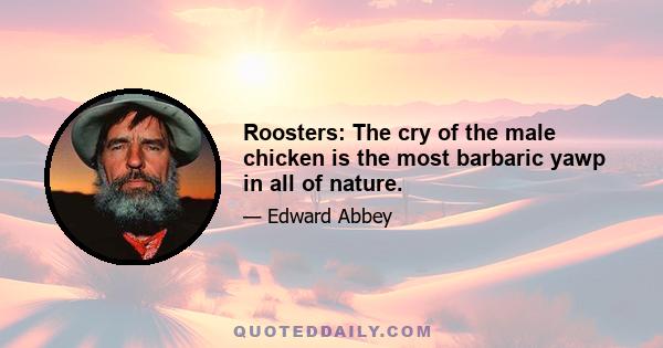 Roosters: The cry of the male chicken is the most barbaric yawp in all of nature.