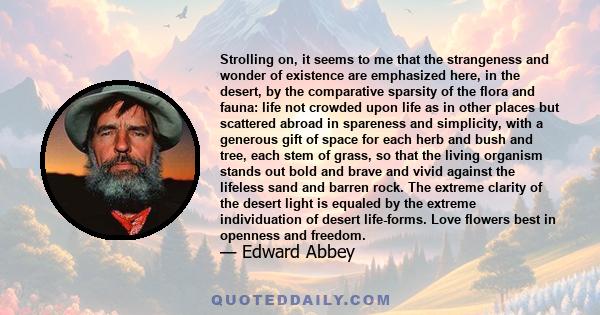 Strolling on, it seems to me that the strangeness and wonder of existence are emphasized here, in the desert, by the comparative sparsity of the flora and fauna: life not crowded upon life as in other places but