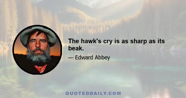 The hawk's cry is as sharp as its beak.