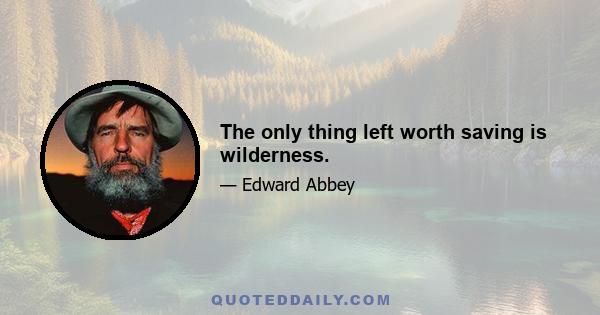 The only thing left worth saving is wilderness.