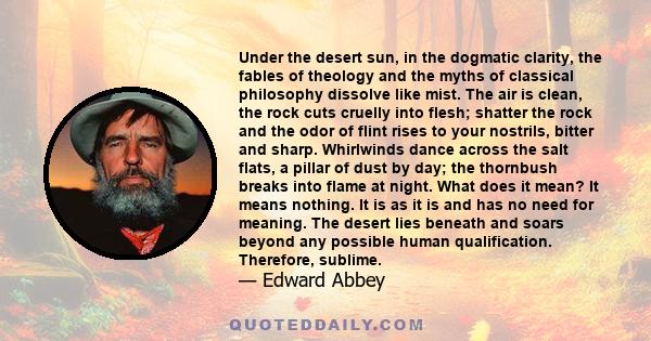 Under the desert sun, in the dogmatic clarity, the fables of theology and the myths of classical philosophy dissolve like mist. The air is clean, the rock cuts cruelly into flesh; shatter the rock and the odor of flint