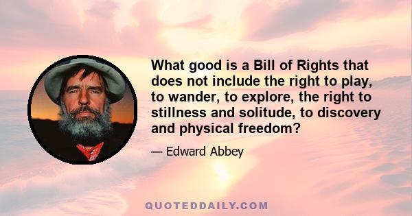 What good is a Bill of Rights that does not include the right to play, to wander, to explore, the right to stillness and solitude, to discovery and physical freedom?