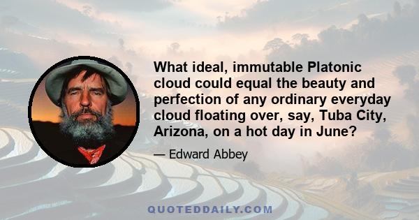 What ideal, immutable Platonic cloud could equal the beauty and perfection of any ordinary everyday cloud floating over, say, Tuba City, Arizona, on a hot day in June?