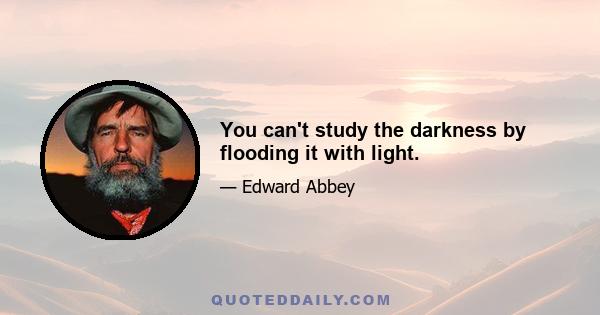 You can't study the darkness by flooding it with light.