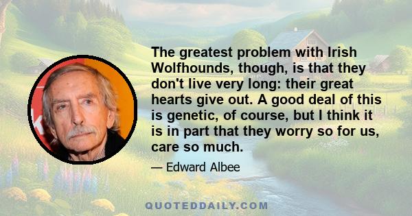 The greatest problem with Irish Wolfhounds, though, is that they don't live very long: their great hearts give out. A good deal of this is genetic, of course, but I think it is in part that they worry so for us, care so 