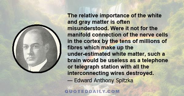 The relative importance of the white and gray matter is often misunderstood. Were it not for the manifold connection of the nerve cells in the cortex by the tens of millions of fibres which make up the under-estimated