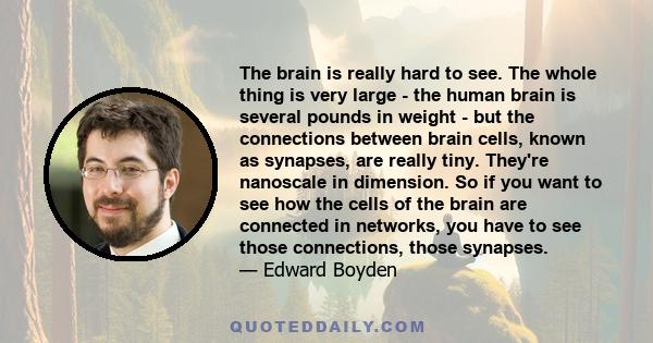 The brain is really hard to see. The whole thing is very large - the human brain is several pounds in weight - but the connections between brain cells, known as synapses, are really tiny. They're nanoscale in dimension. 