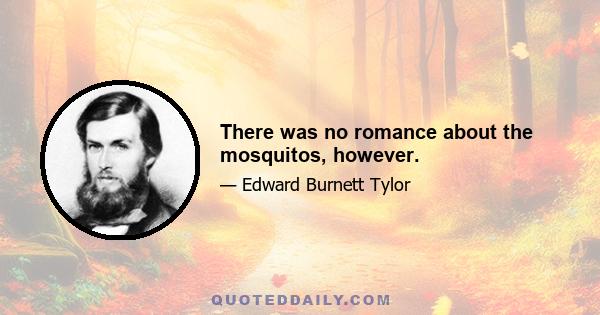 There was no romance about the mosquitos, however.