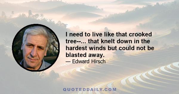 I need to live like that crooked tree--... that knelt down in the hardest winds but could not be blasted away.