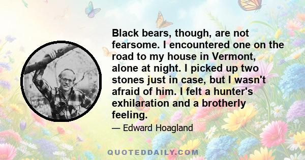 Black bears, though, are not fearsome. I encountered one on the road to my house in Vermont, alone at night. I picked up two stones just in case, but I wasn't afraid of him. I felt a hunter's exhilaration and a