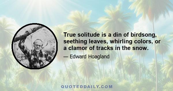 True solitude is a din of birdsong, seething leaves, whirling colors, or a clamor of tracks in the snow.