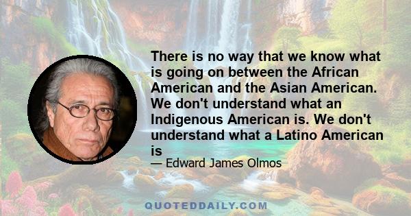 There is no way that we know what is going on between the African American and the Asian American. We don't understand what an Indigenous American is. We don't understand what a Latino American is