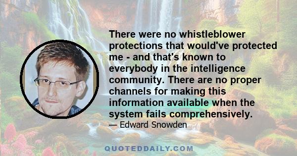 There were no whistleblower protections that would've protected me - and that's known to everybody in the intelligence community. There are no proper channels for making this information available when the system fails