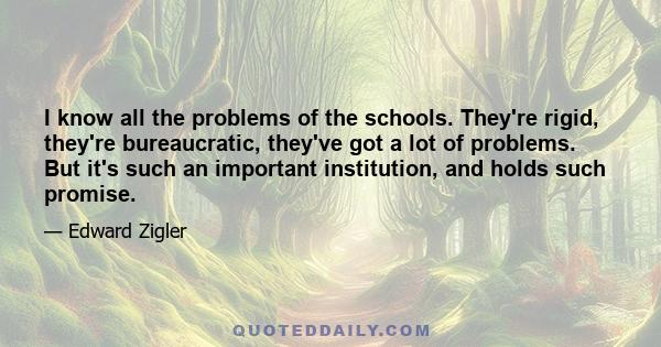 I know all the problems of the schools. They're rigid, they're bureaucratic, they've got a lot of problems. But it's such an important institution, and holds such promise.