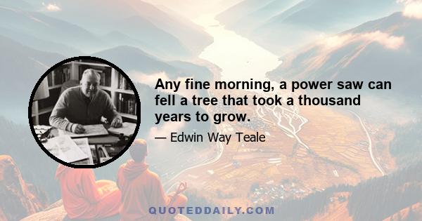 Any fine morning, a power saw can fell a tree that took a thousand years to grow.