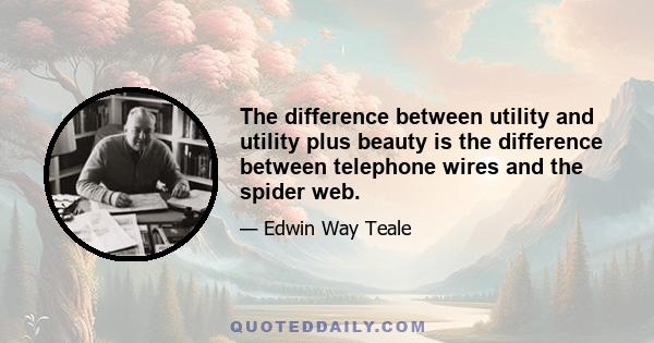 The difference between utility and utility plus beauty is the difference between telephone wires and the spider web.