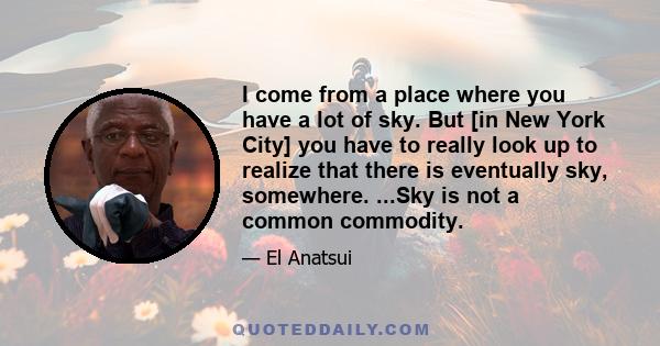 I come from a place where you have a lot of sky. But [in New York City] you have to really look up to realize that there is eventually sky, somewhere. ...Sky is not a common commodity.