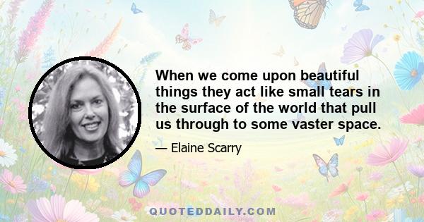 When we come upon beautiful things they act like small tears in the surface of the world that pull us through to some vaster space.