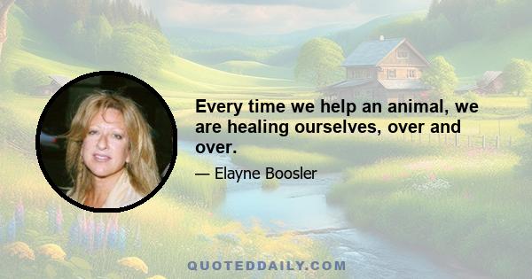 Every time we help an animal, we are healing ourselves, over and over.