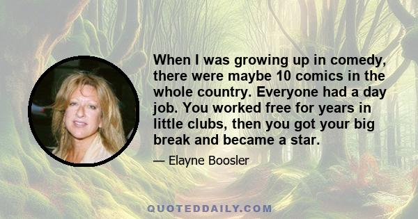 When I was growing up in comedy, there were maybe 10 comics in the whole country. Everyone had a day job. You worked free for years in little clubs, then you got your big break and became a star.