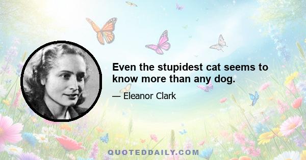 Even the stupidest cat seems to know more than any dog.