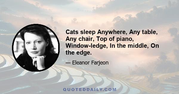 Cats sleep Anywhere, Any table, Any chair, Top of piano, Window-ledge, In the middle, On the edge.