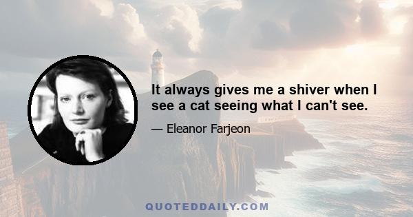 It always gives me a shiver when I see a cat seeing what I can't see.